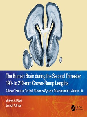 cover image of The Human Brain during the Second Trimester 190– to 210–mm Crown-Rump Lengths